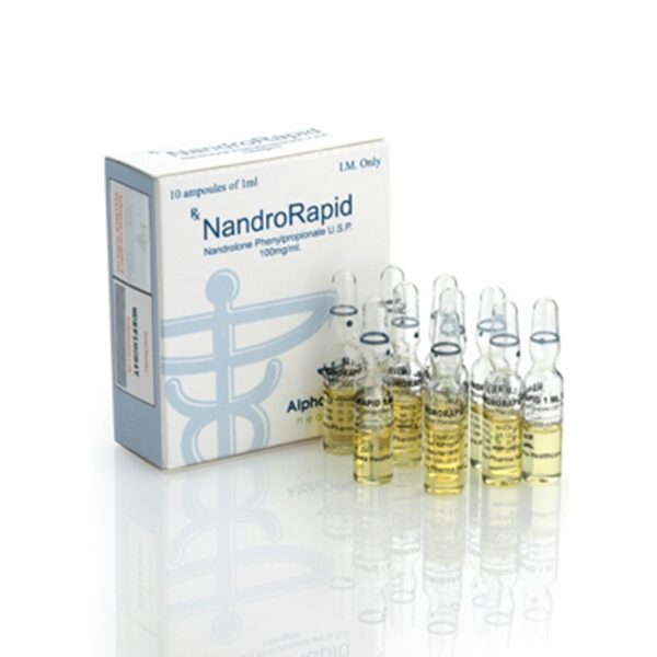 NANDRORAPID AMP